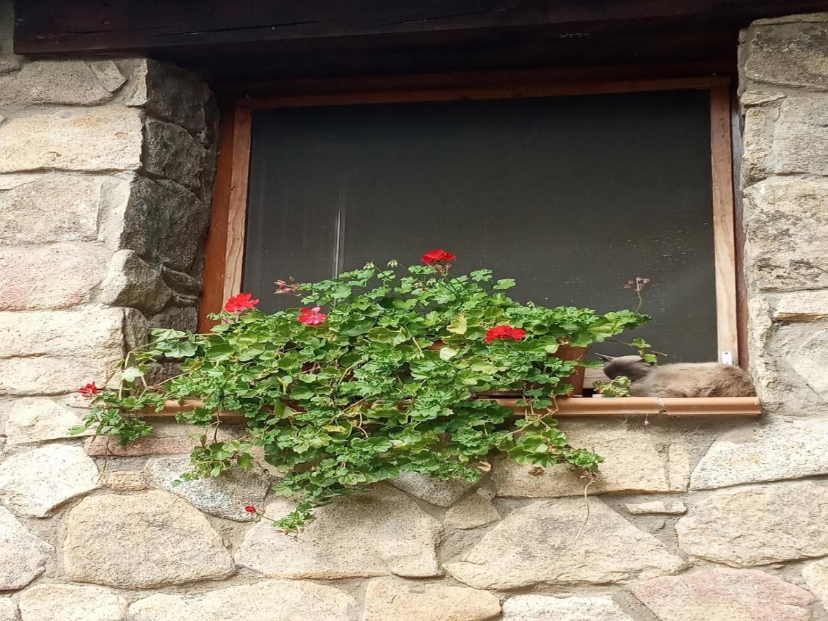 Naturaleza, Confort Y Vistas Inigualable En Casa Rural La Cumbre Gata Bagian luar foto